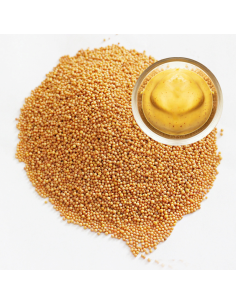 Graines de moutarde jaune