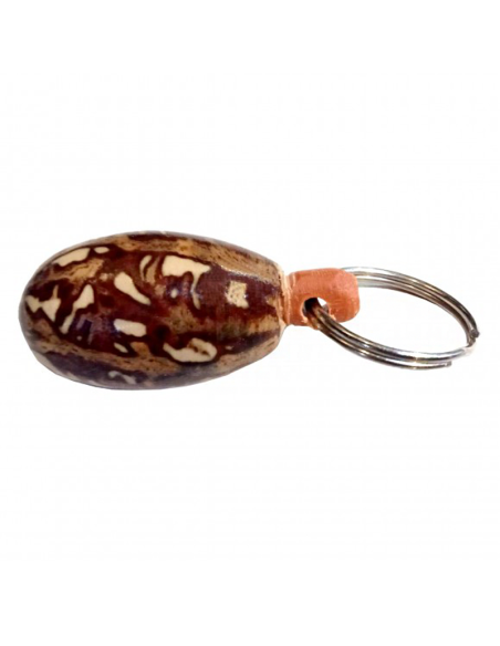 Porte-clés avec un pendentif de la graine La pivoine officinale "Oud Salib" 