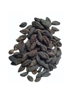 Myrobalan chébulique noir