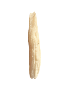 Ce loofah brut est 100% naturel .