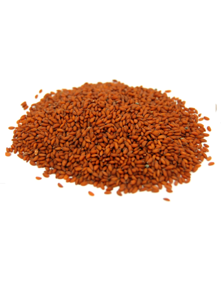 Graines de Cresson 100g
