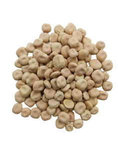 Graines de lupin AMER