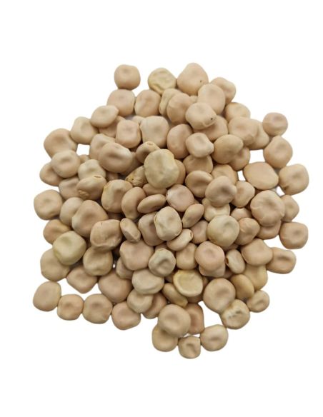 Graines de lupin AMER