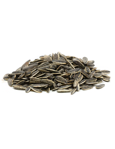 Graines de tournesol Noir Turques salées 250g
