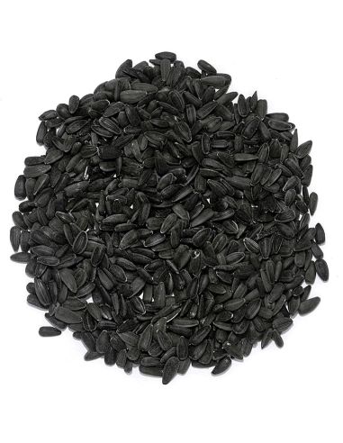 Graines de tournesol noires naturelles