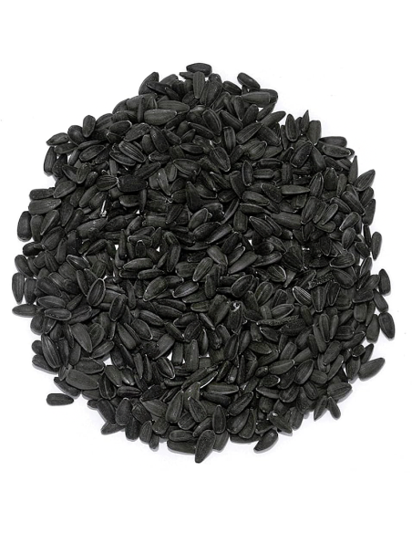 Graines de tournesol noires naturelles