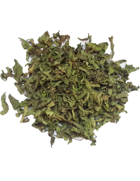 Feuilles de Menthe entières séchée 