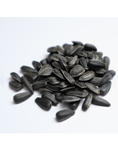 Graines de tournesol noires non torréfiées