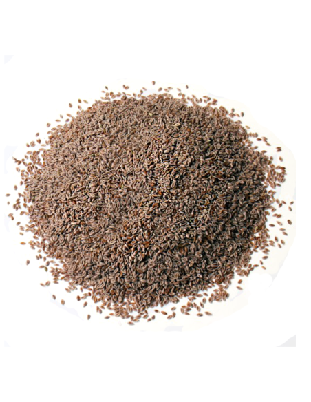 Graines de psyllium