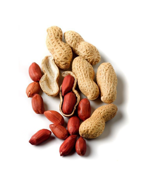 Cacahuète avec coque en vrac 100g