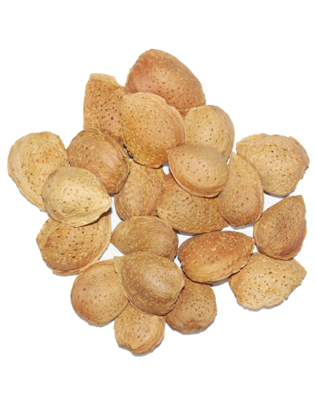 Amandes avec coque en vrac 250g