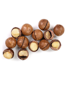 Noix de macadamia en coque crue