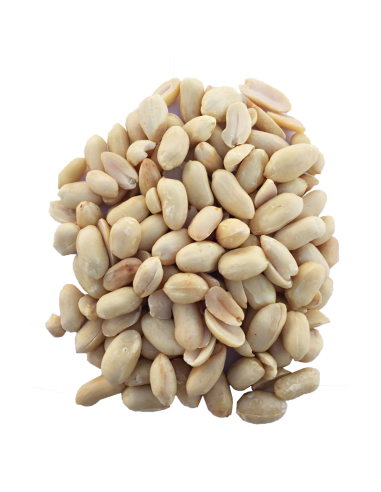 Cacahuètes non pelées, non salées, non grillées