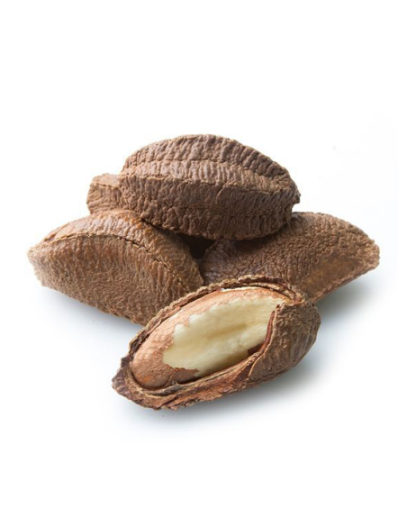 Noix de Brésil avec Coques Noix de Brésil avec Coques