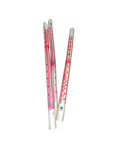 Flûte en Bois pour Enfants et Débutants 2