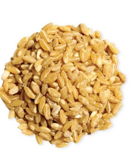 Borghol gros en vrac - borghol gros - blé concassé - couscous gros