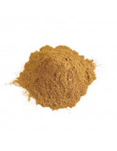 Cannelle moulue - cannelle en poudre - épices - épices orientales