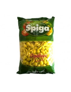 Pâtes Coquillage Spiga 500g